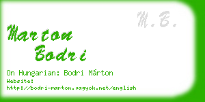 marton bodri business card