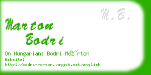 marton bodri business card